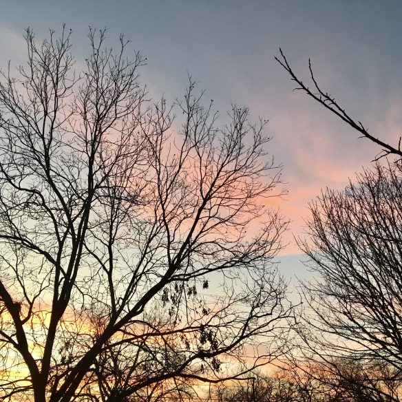 The sky, blue with streaks of pink, orange, and red clouds, begins to begins to lighten as the sun rises on the horizon behind dark, leafless winter trees.